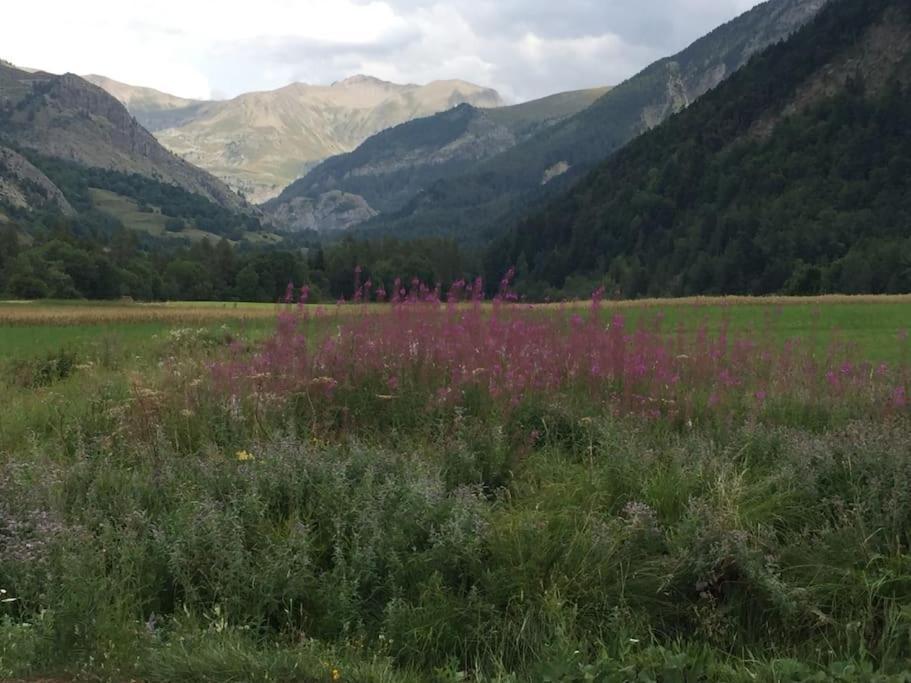 Appart très ensoleillé 7 pers au pied des pistes Ancelle Esterno foto